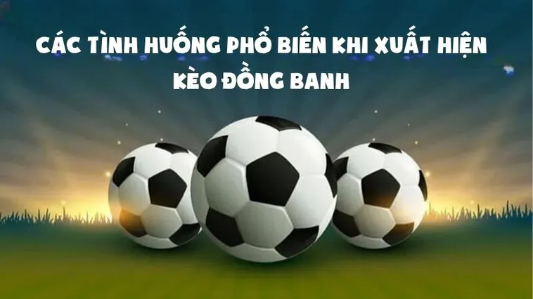 Hướng Dẫn Chi Tiết Cách Chơi Kèo Đồng Banh Tại 7M Dành Cho Người Mới