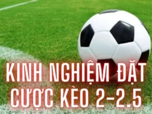 Hướng Dẫn Cách Chơi Kèo 2.25 Tại 7M Chi Tiết Dễ Hiểu Cho Người Mới