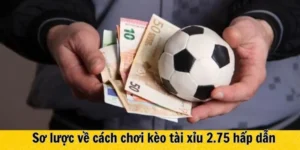 Hướng Dẫn Chi Tiết Cách Chơi Kèo 2.75 Tại 7M Chuẩn Xác