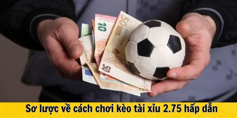 Hướng Dẫn Chi Tiết Cách Chơi Kèo 2.75 Tại 7M Chuẩn Xác