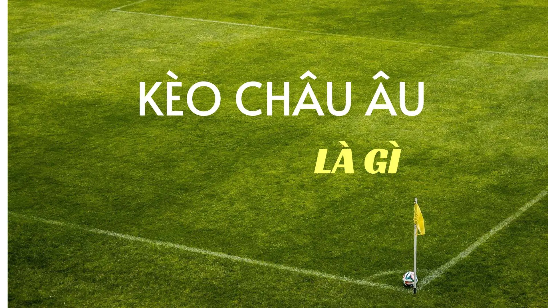 Hướng Dẫn Chi Tiết Cách Chơi Kèo Châu Âu Tại 7M Hiểu Rõ Và Thắng Lớn
