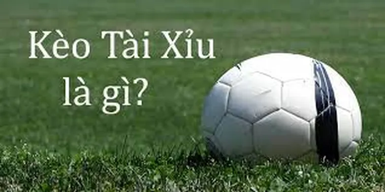 Cách Chơi Kèo Tài Xỉu Tại 7M Hiệu Quả Cho Người Chơi Mới