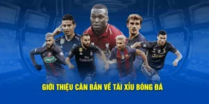Cách Chơi Kèo Tài Xỉu Bóng Đá Tại 7M Chuẩn Cho Người Mới