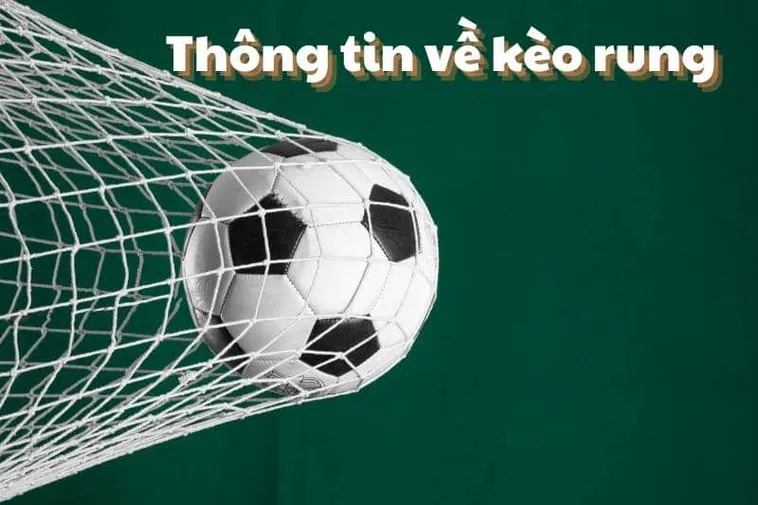 Cách Chơi Kèo Rung Trong Bóng Đá Tại 7M Hiệu Quả Và Chính Xác Nhất